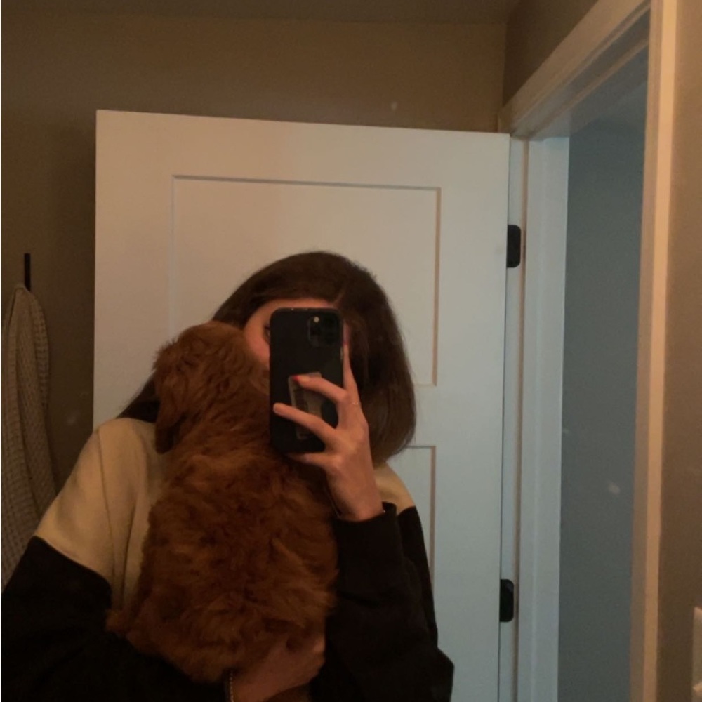 Meet your Posher, Teagan